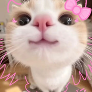 Cute Art